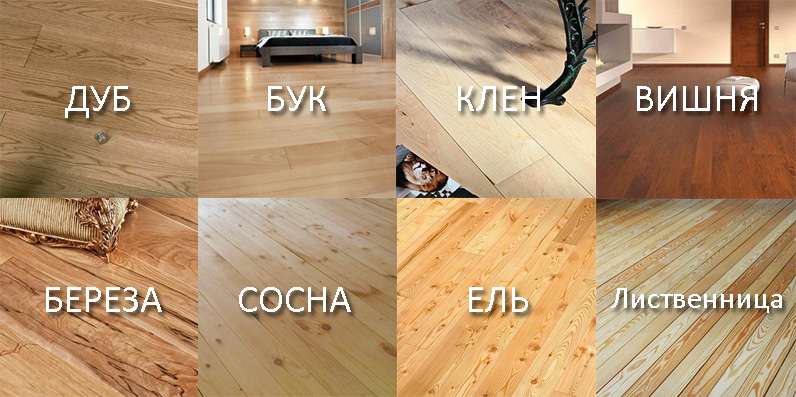 Как выбрать доску для пола в квартиру: виды, характеристики, советы